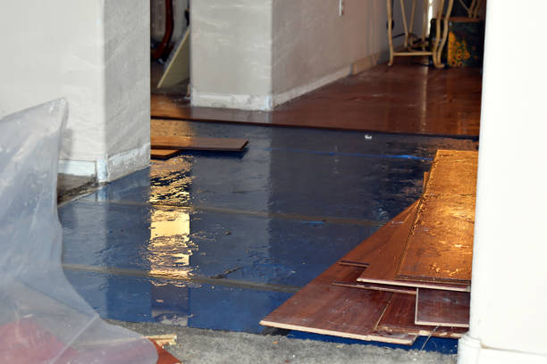 Professional Sewage Cleanup technician working in Layland, WV